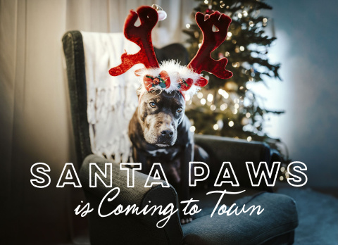 Santa Paws Overlay