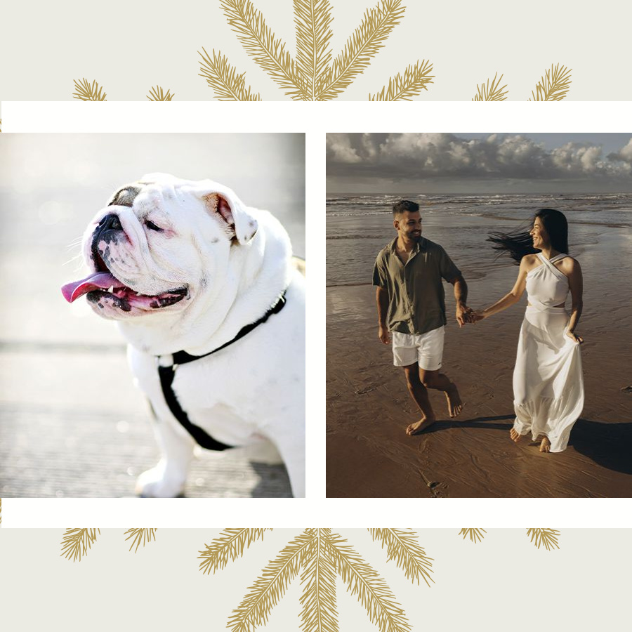 2 Photos layout
