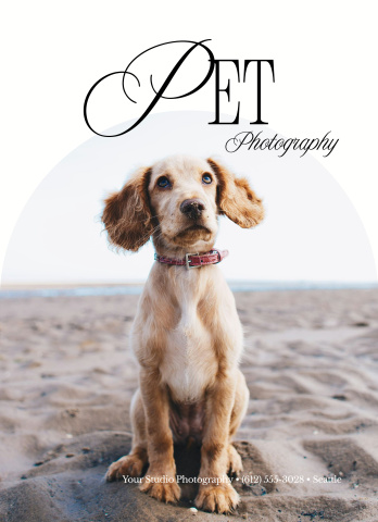 Your Portrait Guide To Pets