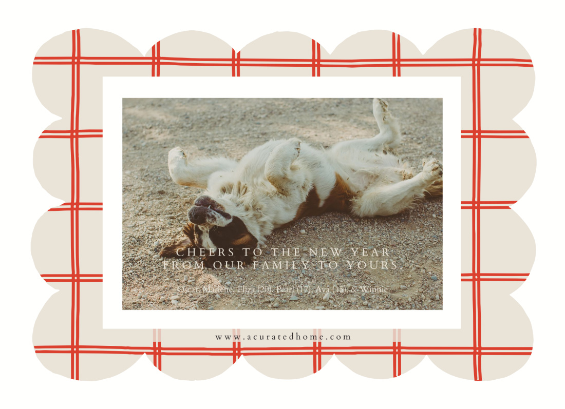 1 Photo layout