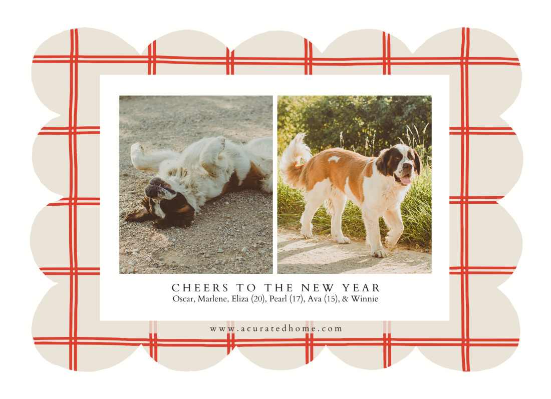 2 Photos layout