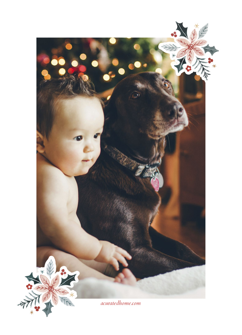 1 Photo layout