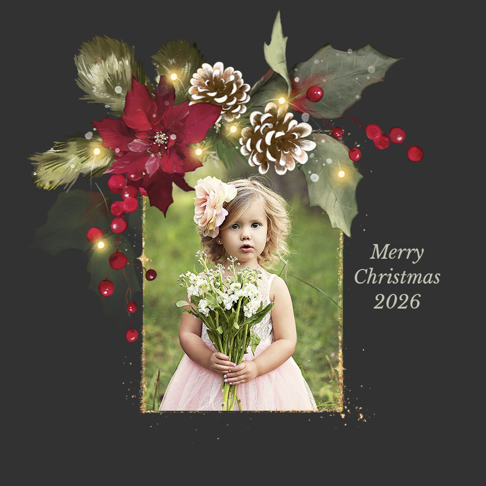 1 Photo layout